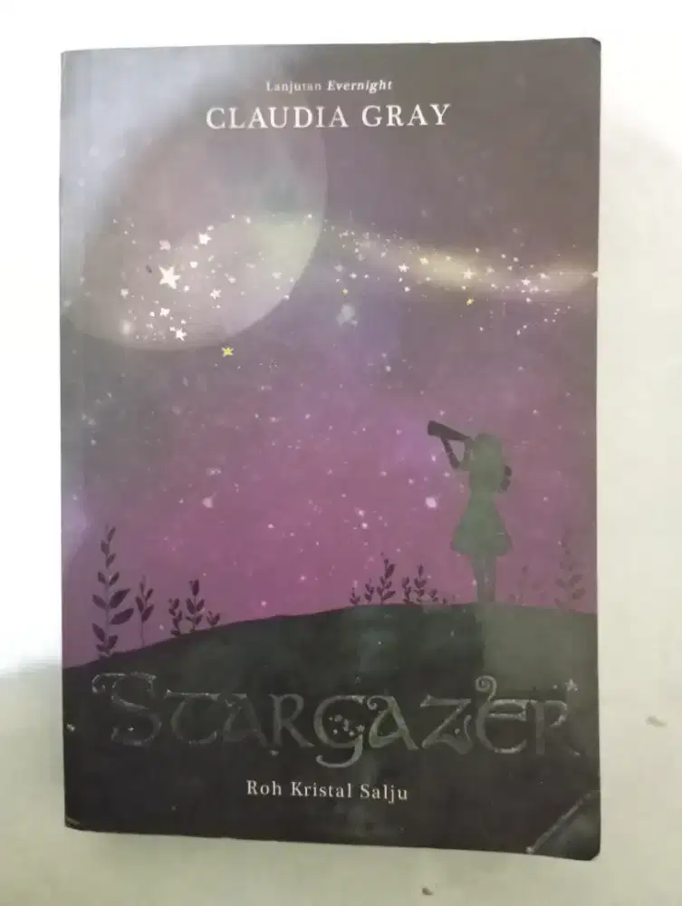 Buku Novel Stargazer (roh kristal salju
)
