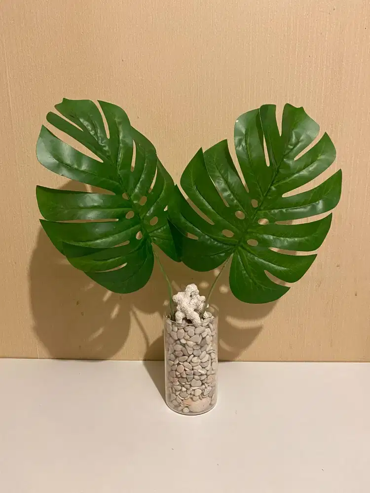 Daun Bunga Monster Artificial 2 Pcs + Pot Kaca