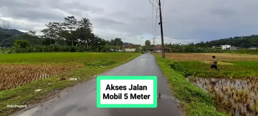 Jual tanah sawah produktip Lewiliang Bogor