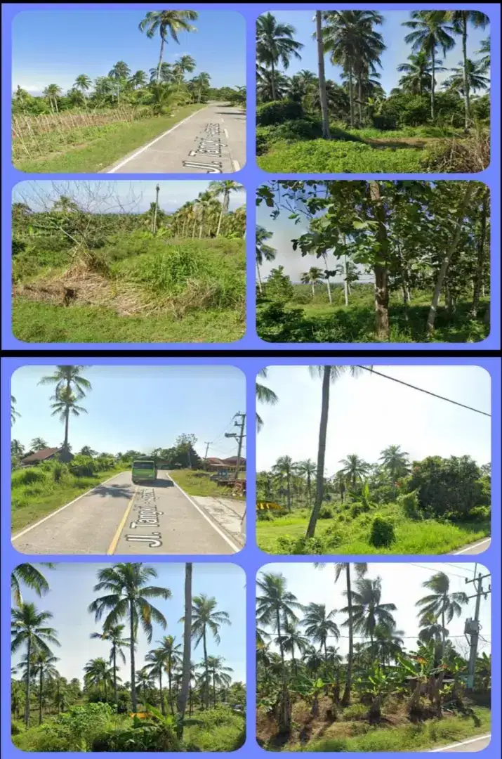 TANAH 1500 HEKTAR DIJUAL DI CIANJUR COCOK UNTUK PERKEBUNAN DURIAN DLL