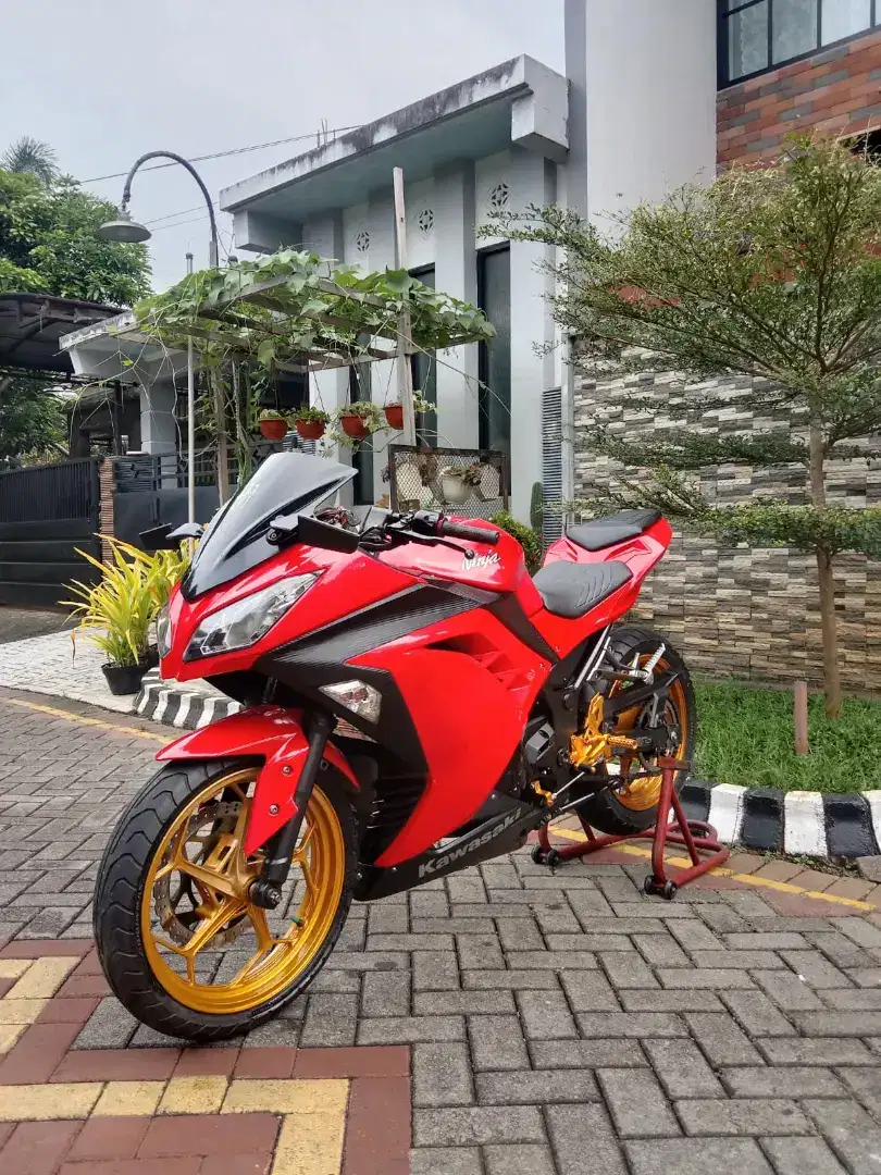 Ninja 250 fi 2017