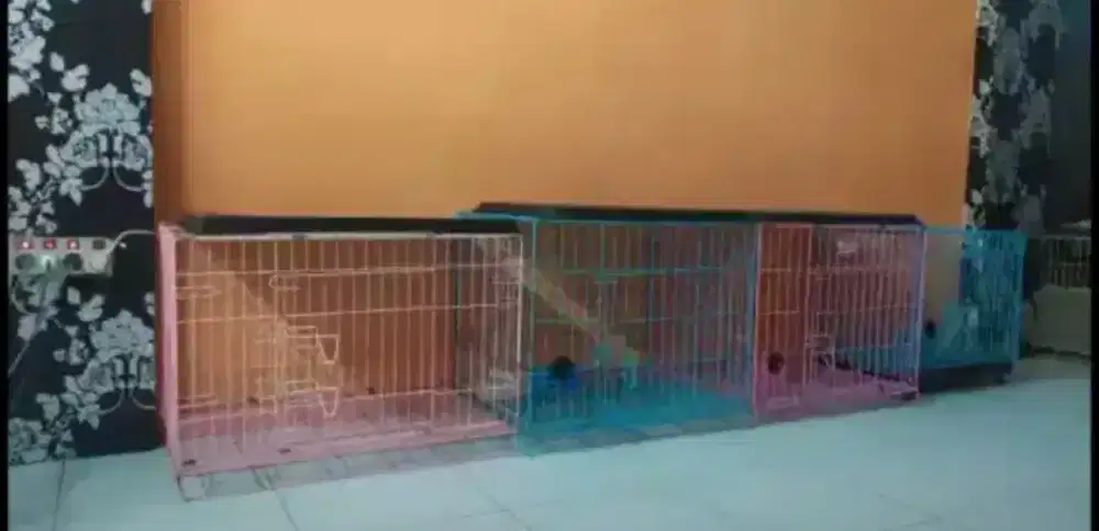 PENITIPAN ANJING KHUSUS RAS KECIL DAN SEDANG