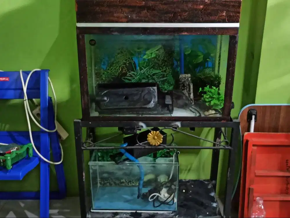 Jual Aquarium 2 unit Beserta Meja dan aksesoris