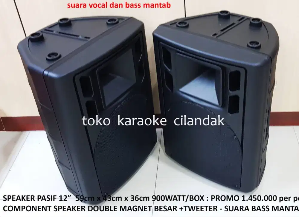speaker pasif 12in 1pcs