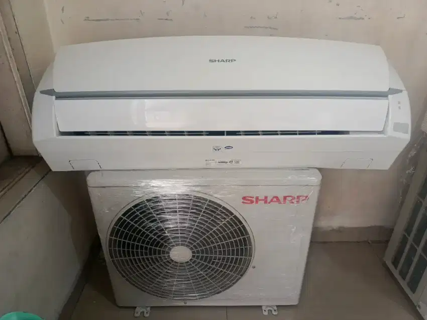 Ac sharp Thailand 1/2 pk