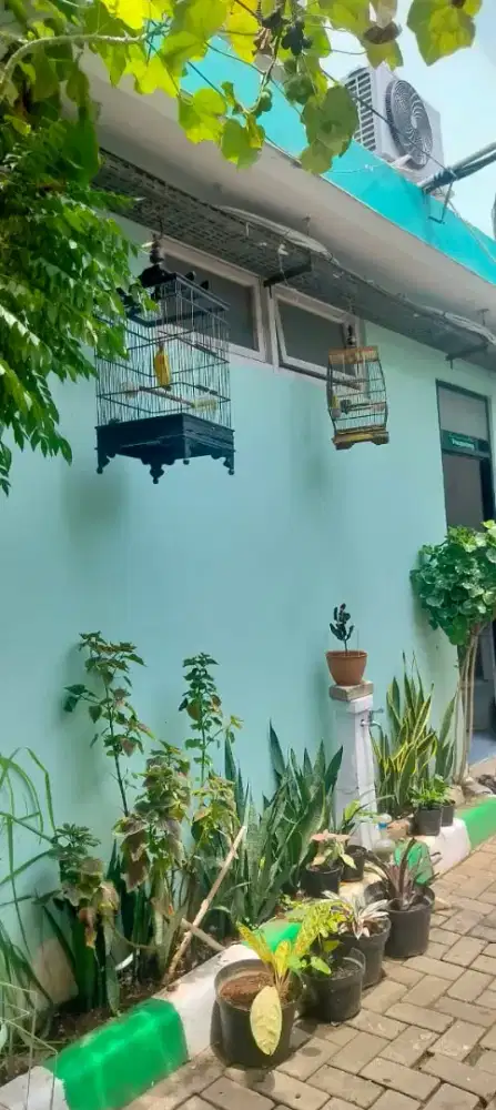 ART Menginap (Mengasuh, masak, dan bersih2)