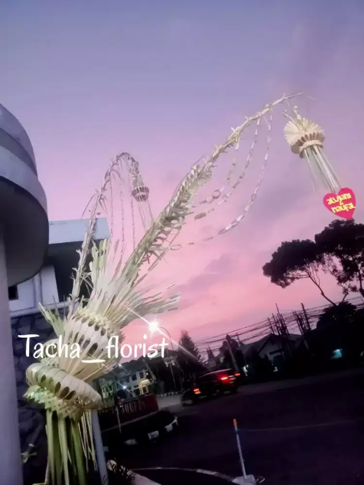 Janur kuning satu set