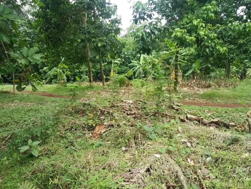 Dijual tanah view alam dan setu yang indah
