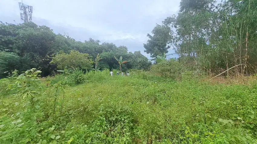 Tanah Kavling Area Cileungsi, Dekat dengan Via Tol Cimanggis. SHM