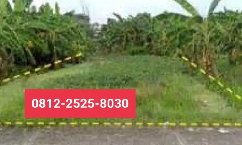 Tanah murah luas 234m di Benjeng Gresik MD