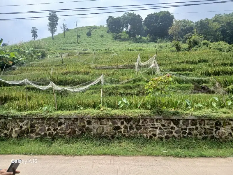 Tanah pinggir jln view bagus Dampit cicalengka