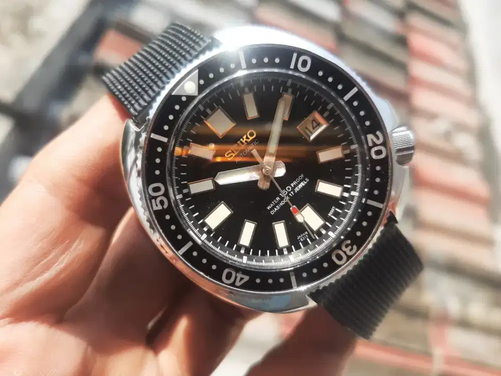 Seiko Capt will mod