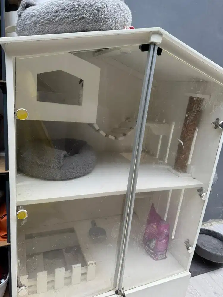 rumah kucing/ kandang kucing aestetik