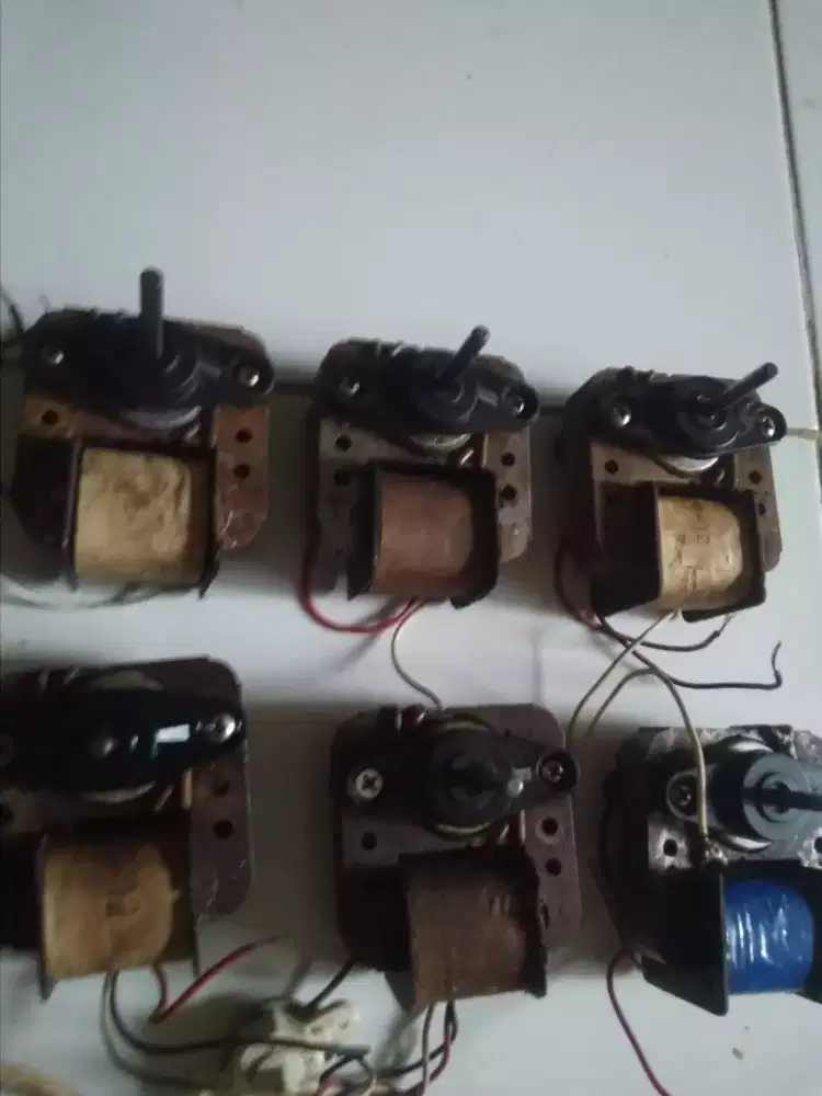 Dinamo kipas karakter