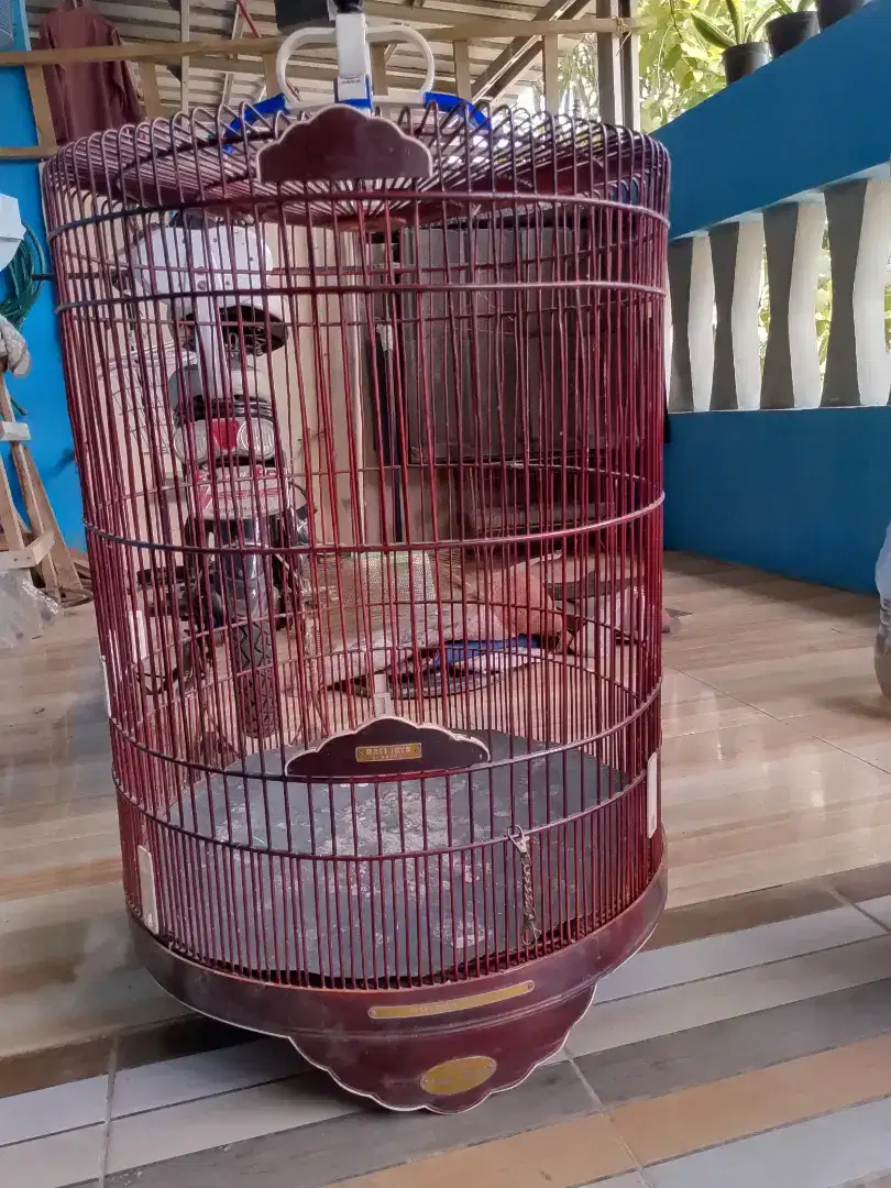 Kandang burung murai no 2.masih bagus