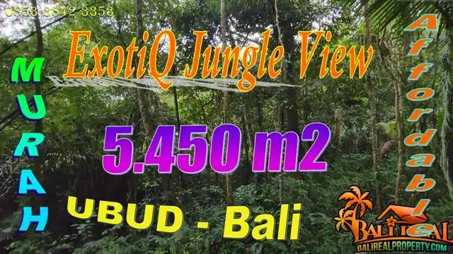 5,450 m2 with Jungle View by the River in Pejeng Kaja