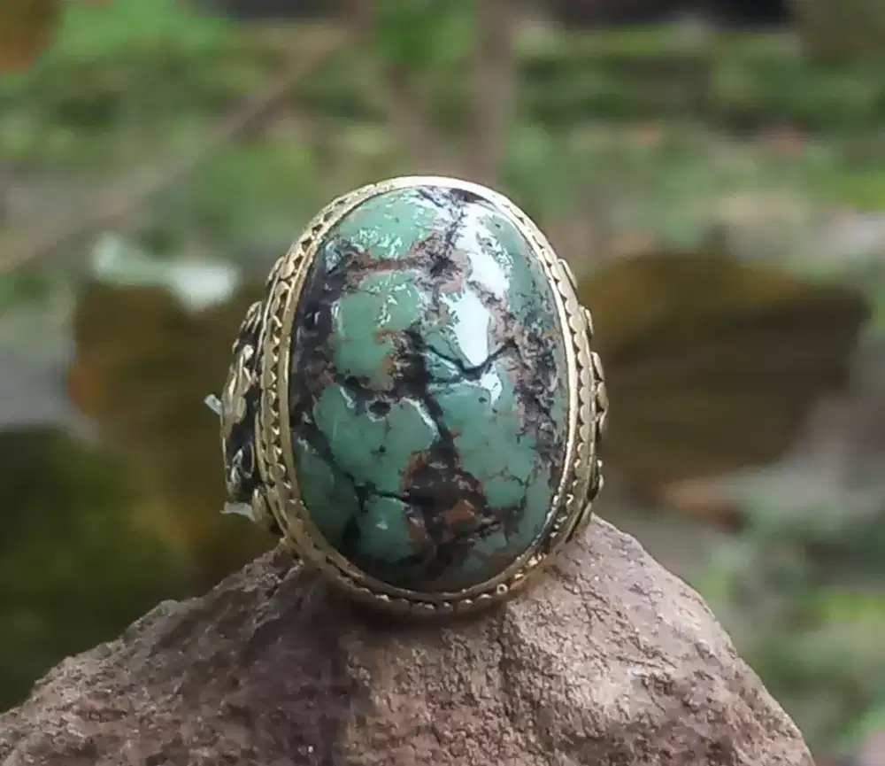 Pirus Persia Ijo Kedondong