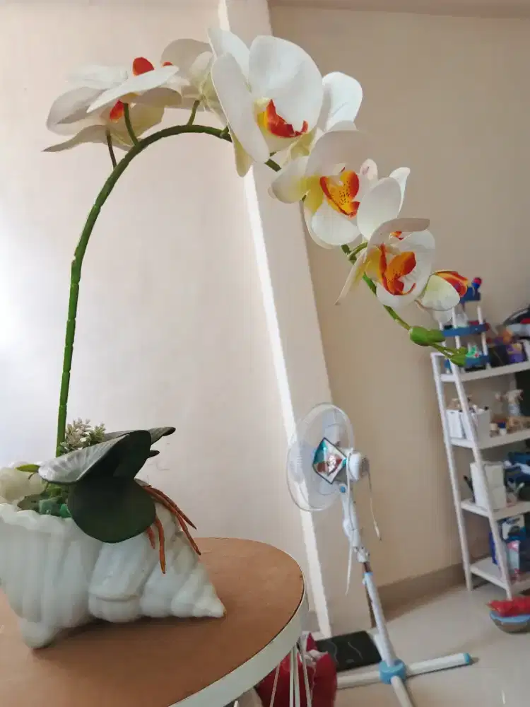 Vas Bunga Anggrek Estetik Bonus Rak Kosmetik
