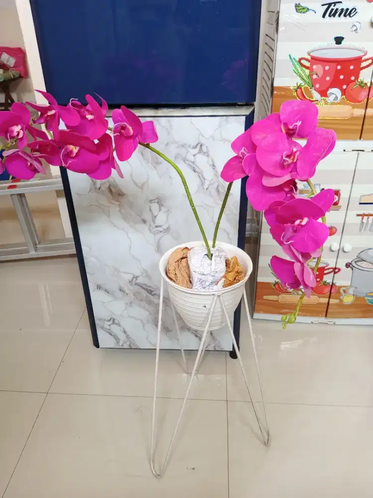 Rak Bunga dan Anggrek Latek