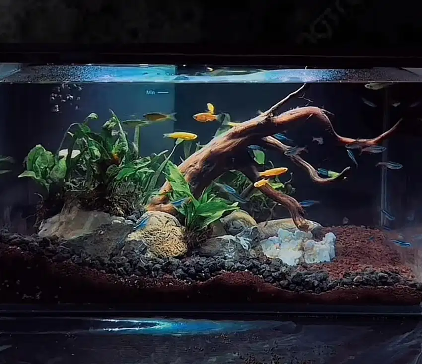 Aquarium krisbow smart 14 liter