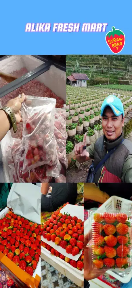 Bismillah Ready Strawberry Fresh &Frozen