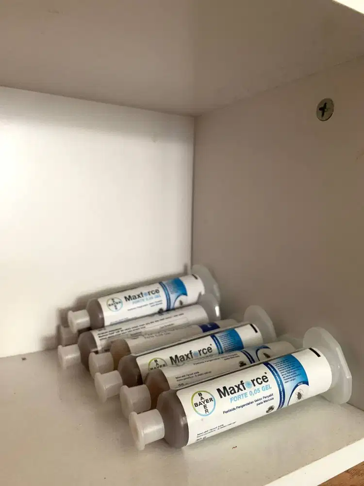 Gel Umpan Kecoa Pest Control Balikpapan - MAXFORCE FORTE Gel Baiting