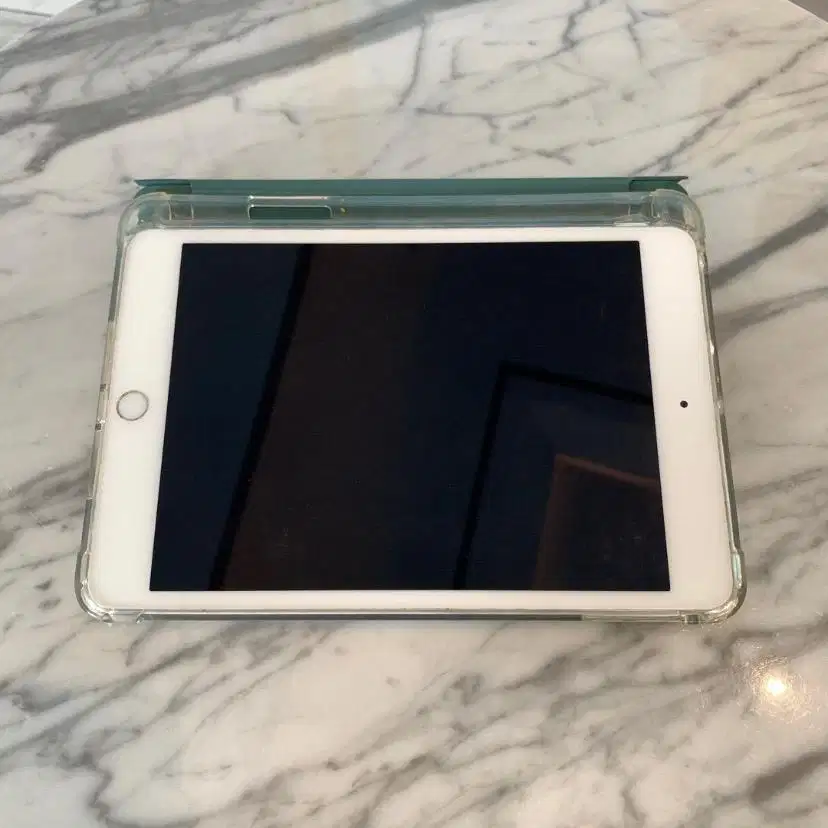 Apple Ipad Mini 4 Wifi Cellular Mulus