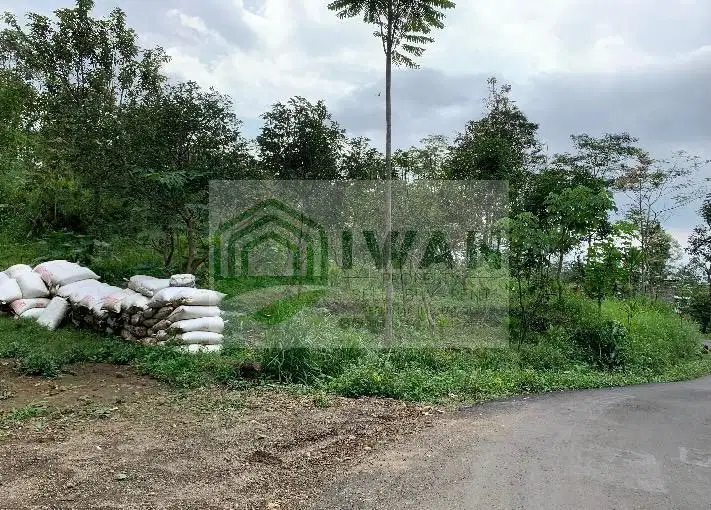 Kebun Alpukat Beriklim Sejuk Strategis Hadap Jalan Aspal DPU
