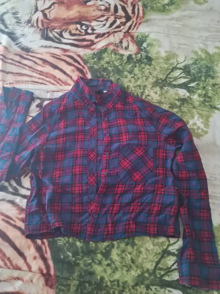 Kemeja lengan panjang