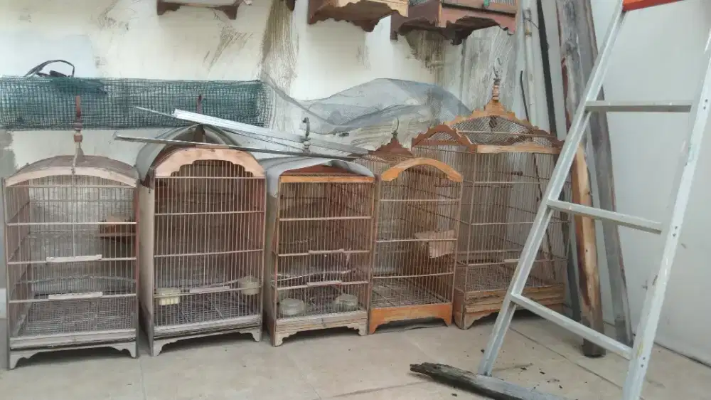 sangkar Burung ocehan