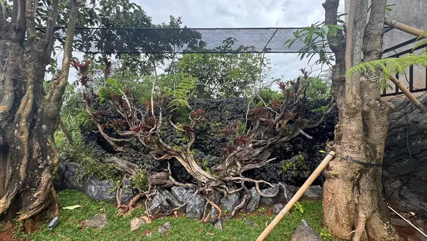 Jasa pembuatan landscape / taman