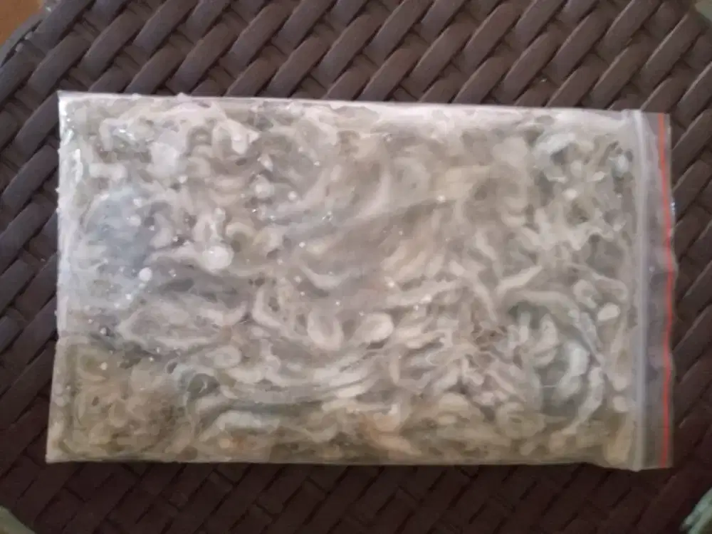 Udang Beku pakan ikan hias predator arwana oscar pbass chana murah