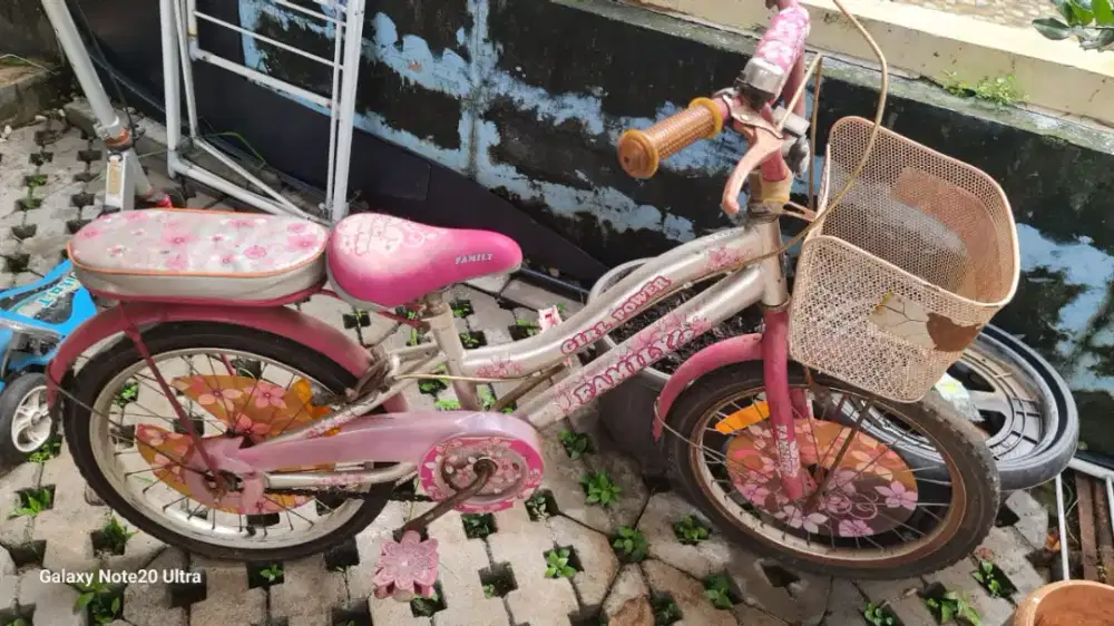 Sepeda Anak merek win cycle