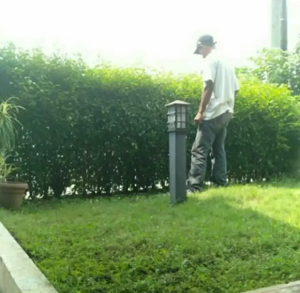 cari kerja merawat taman