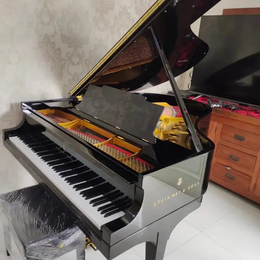 Grand Piano Steinway & Sons Type M Hamburg SV