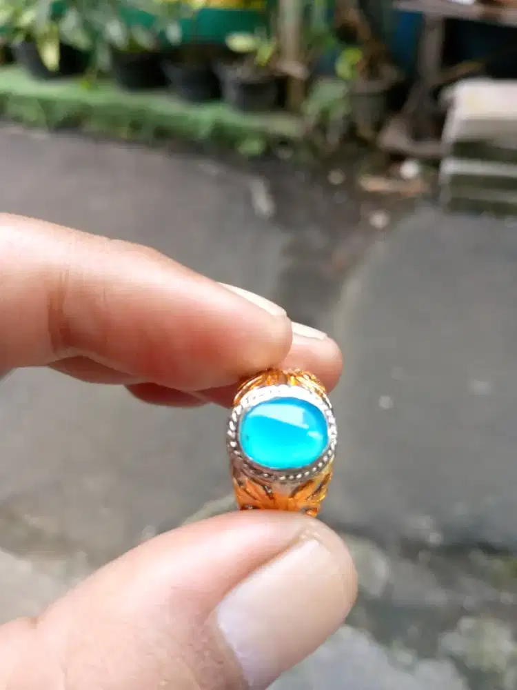 Bacan Doko majiko giwang HQ