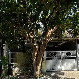 Dijual Rumah Taman Wisata Regency