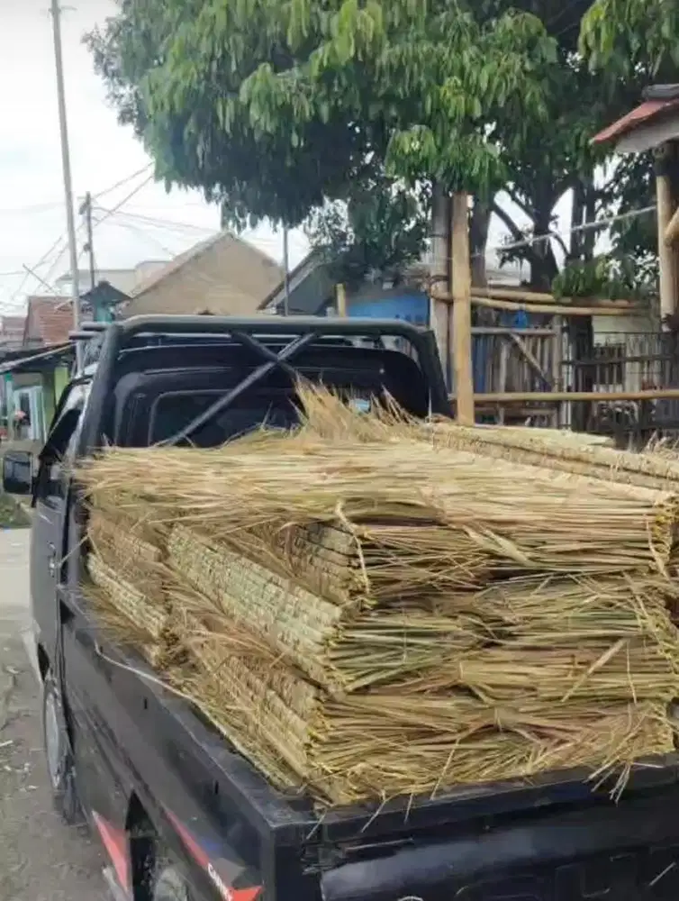 Alang alang / atap saung alang alang