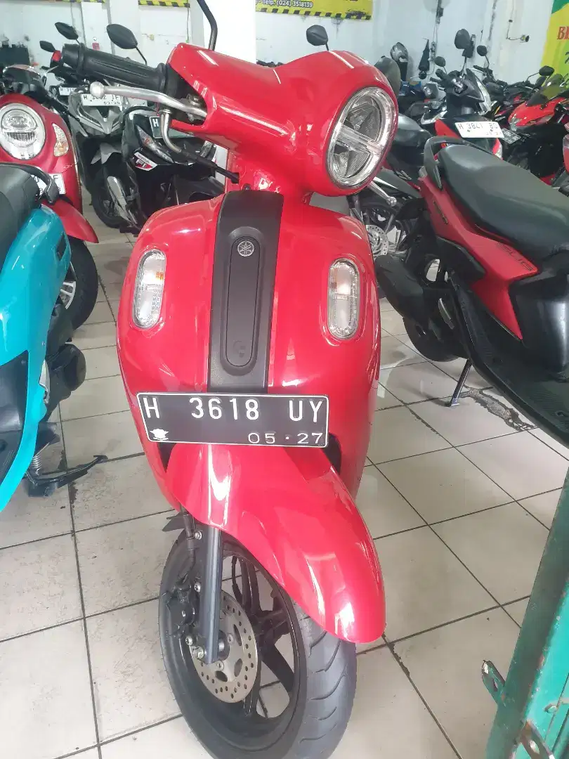 Fazzio fi 2022 keyless