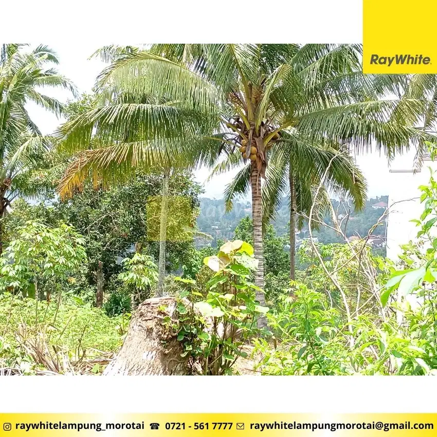 Dijual Tanah di Kemiling, Bandar Lampung (kode: SUL 3109)
