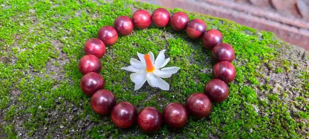 Gelang galih nagasari sunan gunung jati bit 12 mm