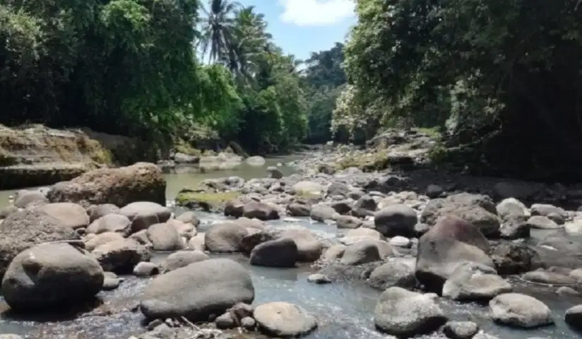 Yellow Zone Land for Leasehold with River View in Tabanan Bali