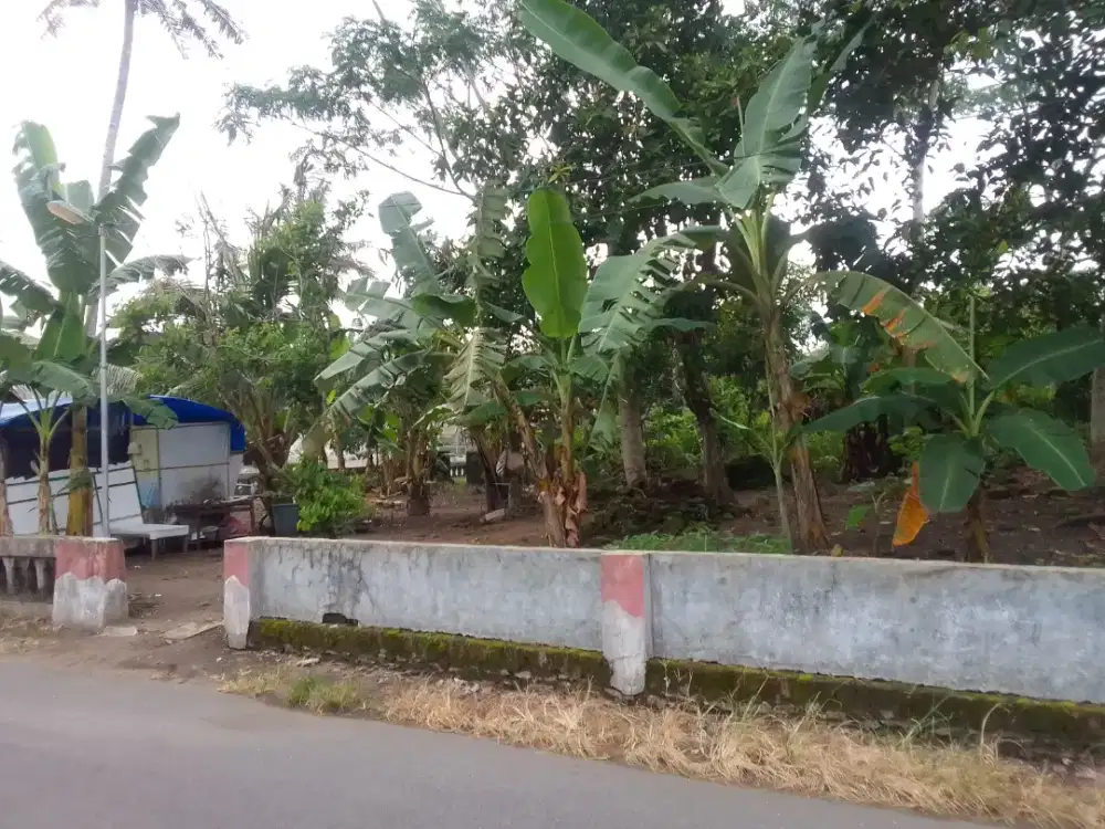 DIJUAL TANAH SETRATEGIS SEBELAH KELURAHAN TIRTOHARGO KRETEK BANTUL