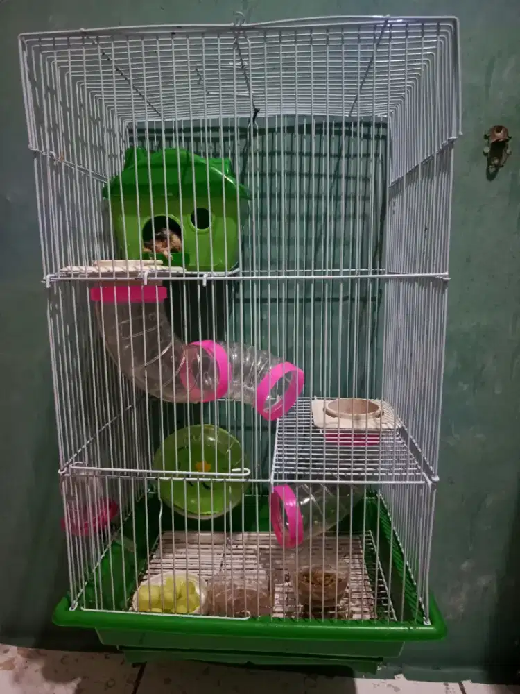 Edisi lebaran, Djual karna mau pulkam.