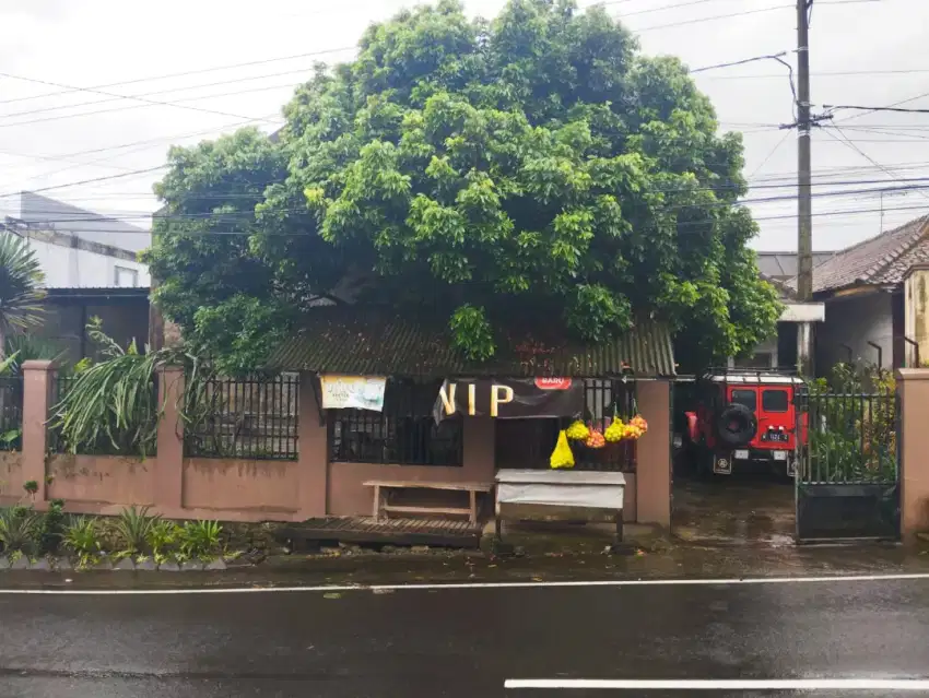 Rumah walet aktif dan kebun dijual Tumpang semeru bromo malang