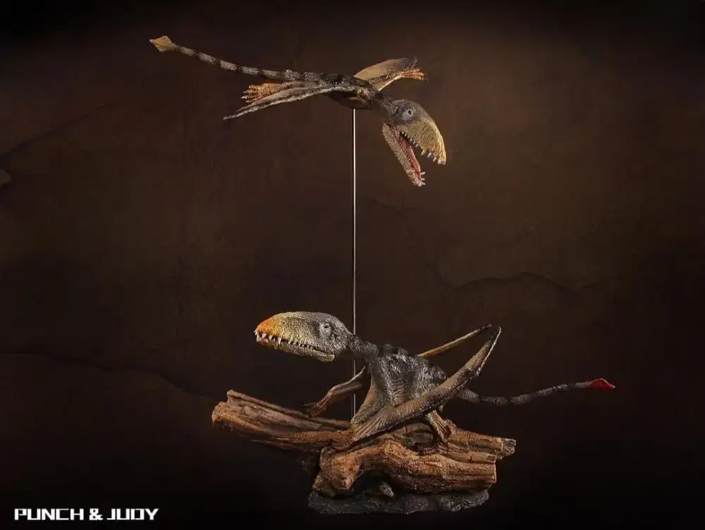 Dinosaurus Dimorphodon Macromyx Pterosaur Punch and Judy Dino