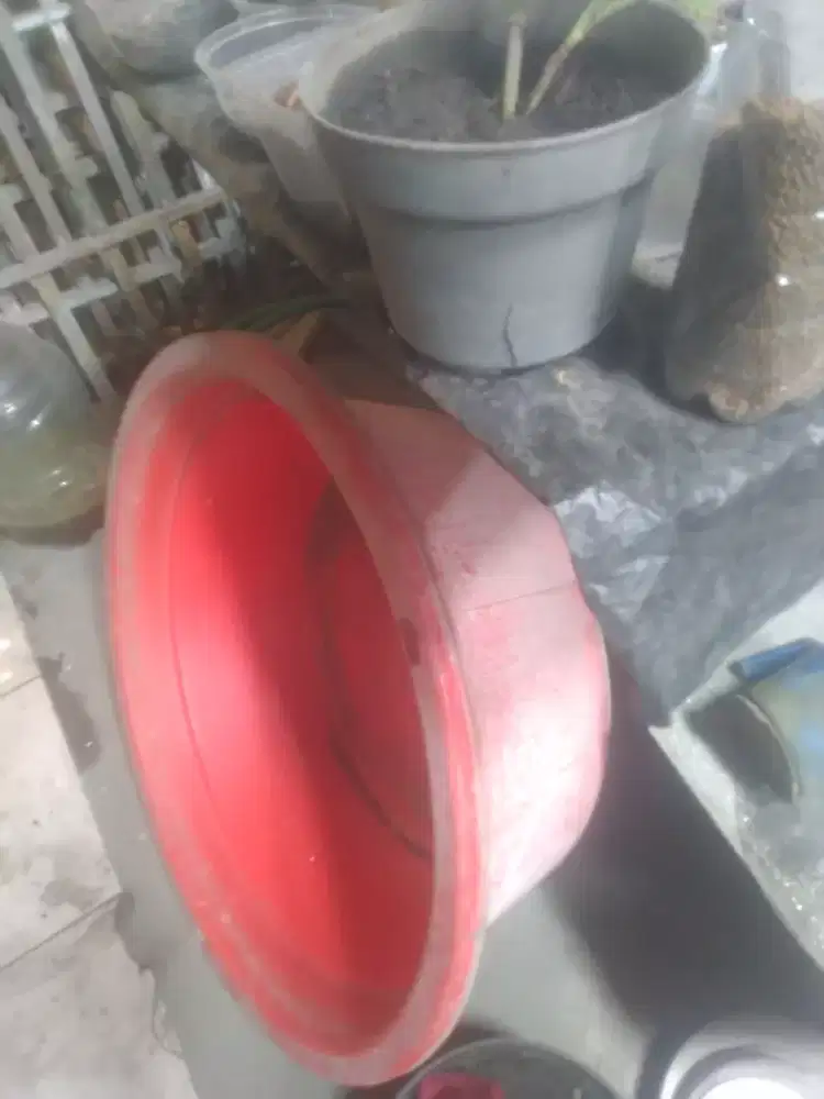 Bak besar warna merah