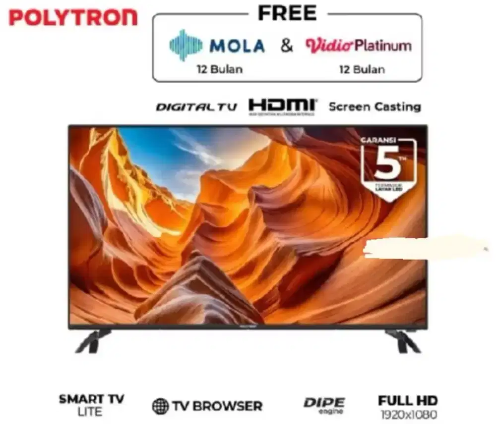TV POLYTRON 43 INCH SMART DIGITAL PLD-43CV1569 (KHUSUS MEDAN)