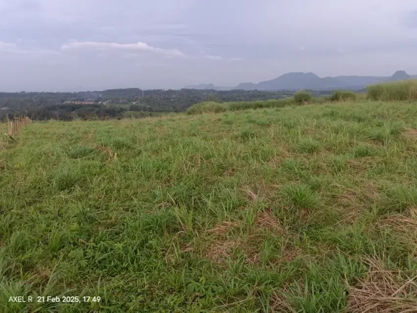 Tanah Garapan Produktif di Lokasi Strategis!