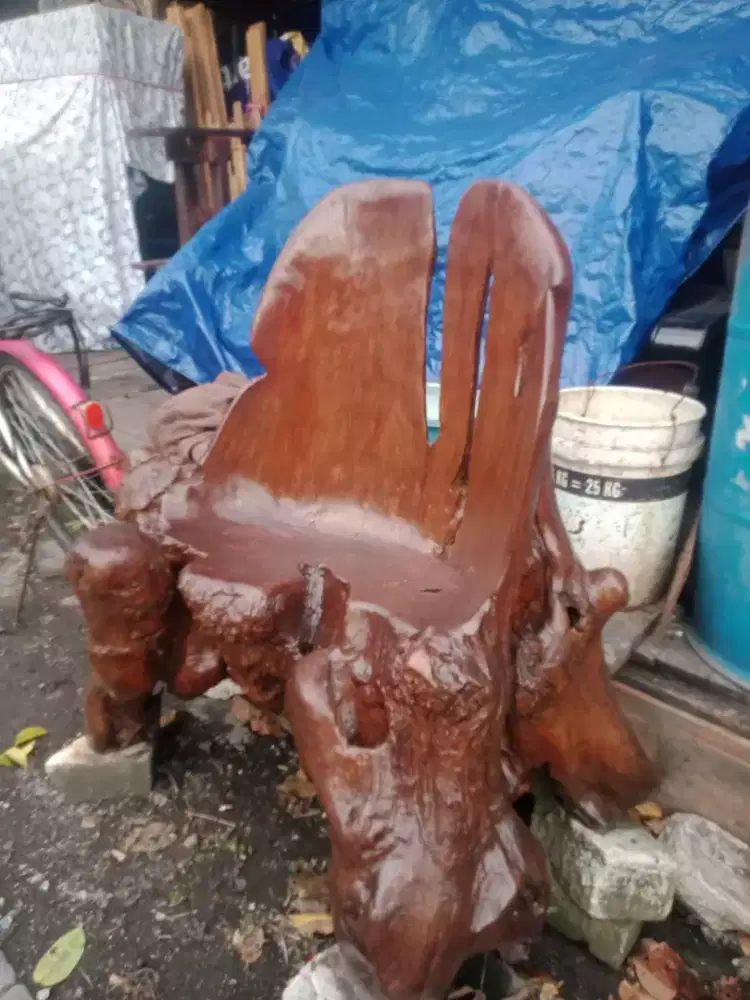 Kursi tunggal dari akarnya jati